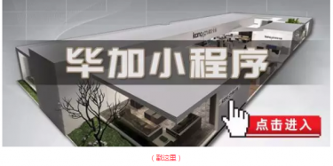 畢加邂逅小“情人”，那就再愛一次吧